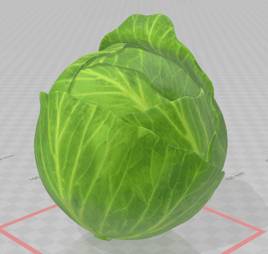 Cabbage 3d model