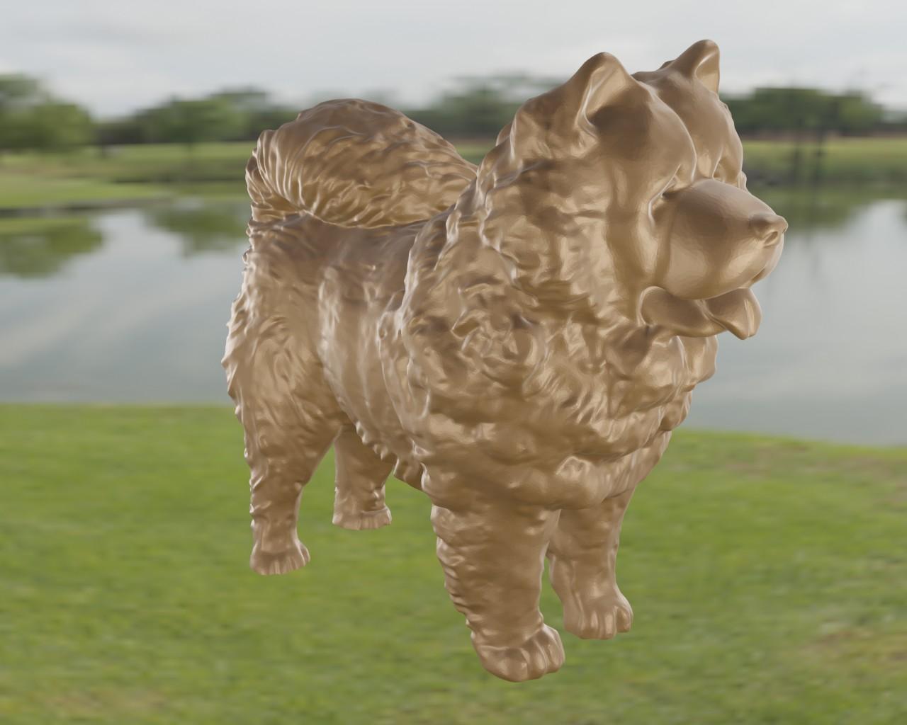 Chow Chow 3d model