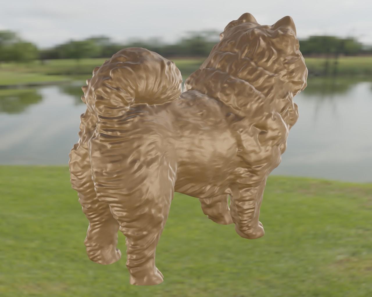 Chow Chow 3d model