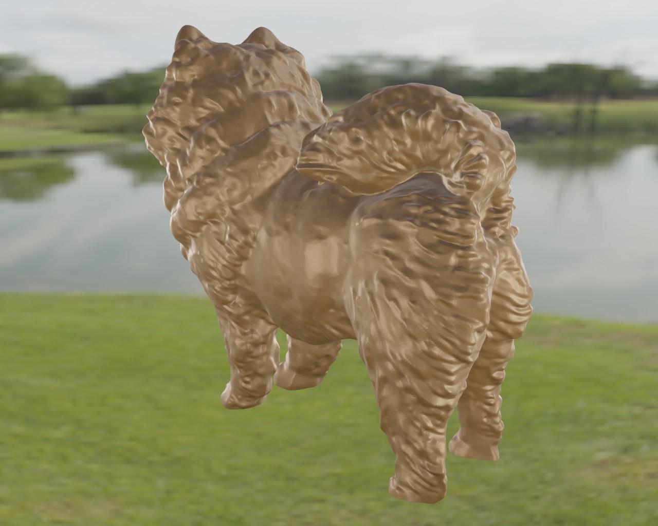 Chow Chow 3d model