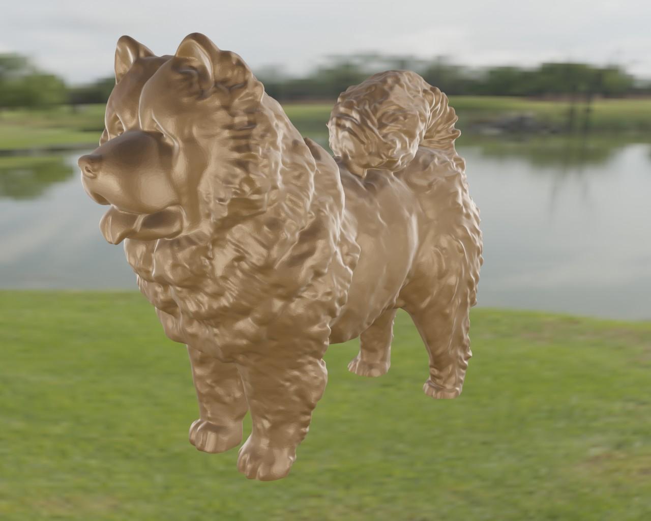 Chow Chow 3d model