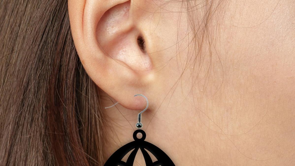 Earrings - Special Design 3d model