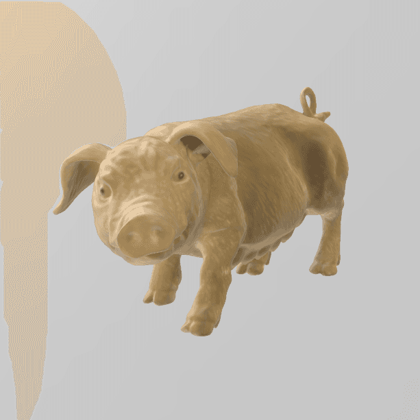 Pig 3d model