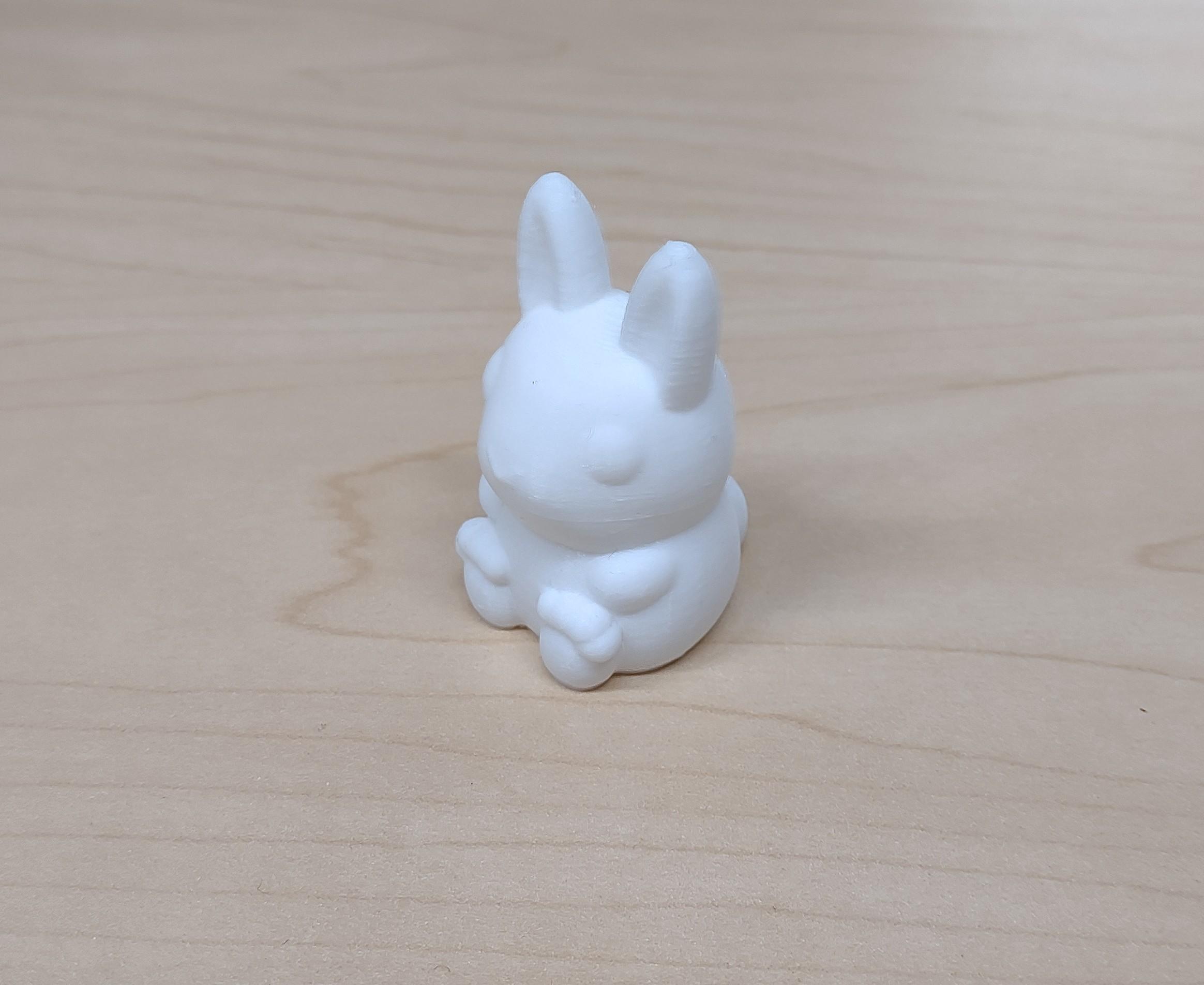 Basic Bunny  3d model