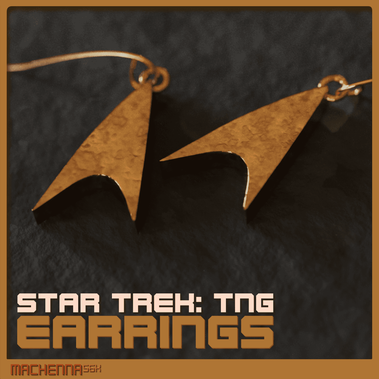 Star Trek: TNG Era Badge Earrings 3d model