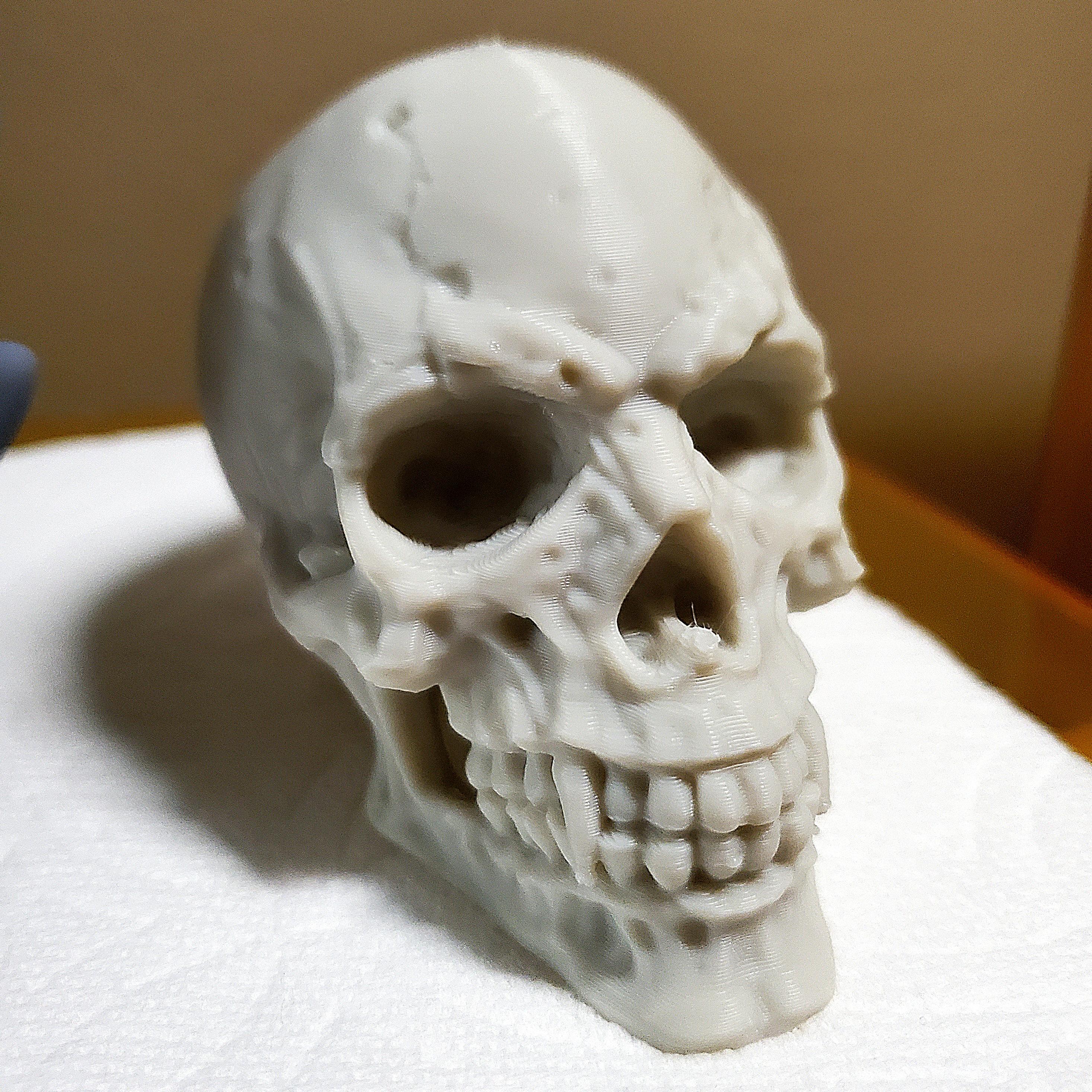 Vampire Skull  - Bone PLA | .6mm nozzle @ .2 layer height. - 3d model