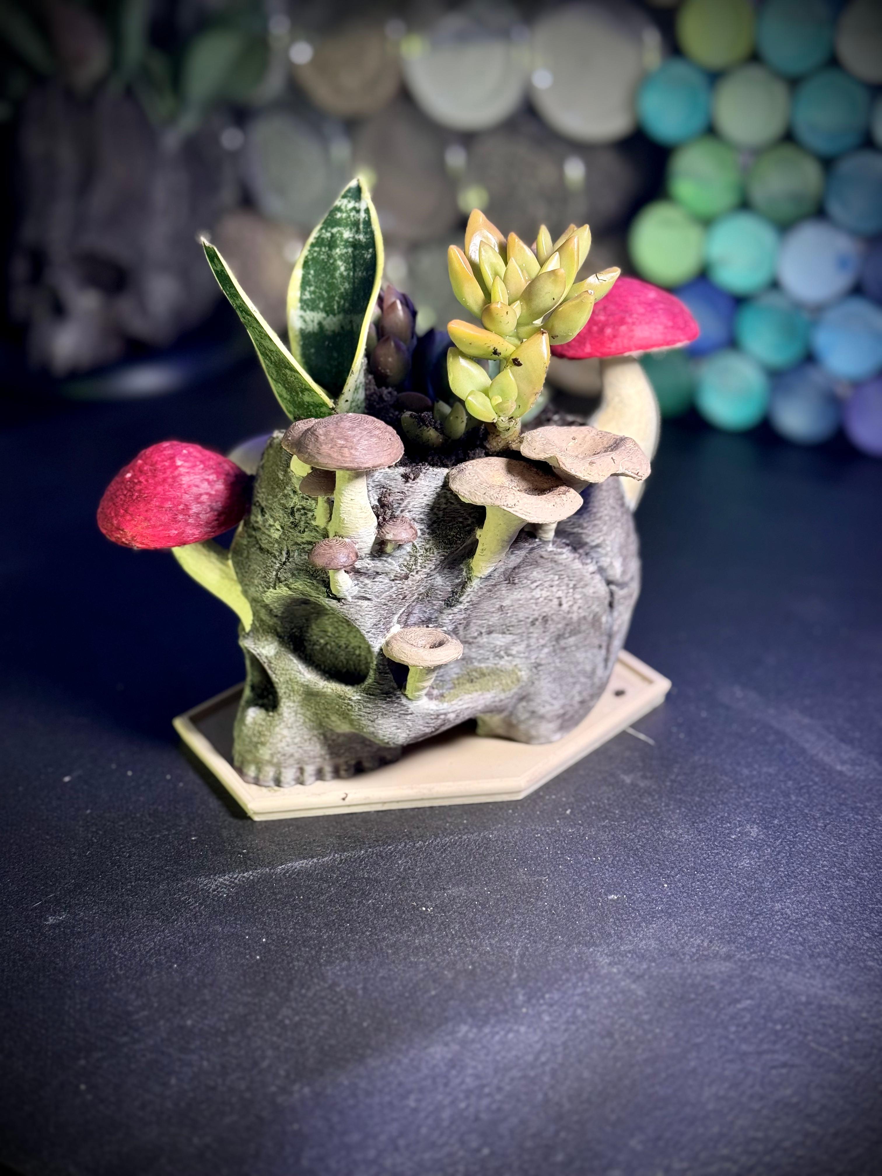 The Reclaimed Skull Planter 3d model