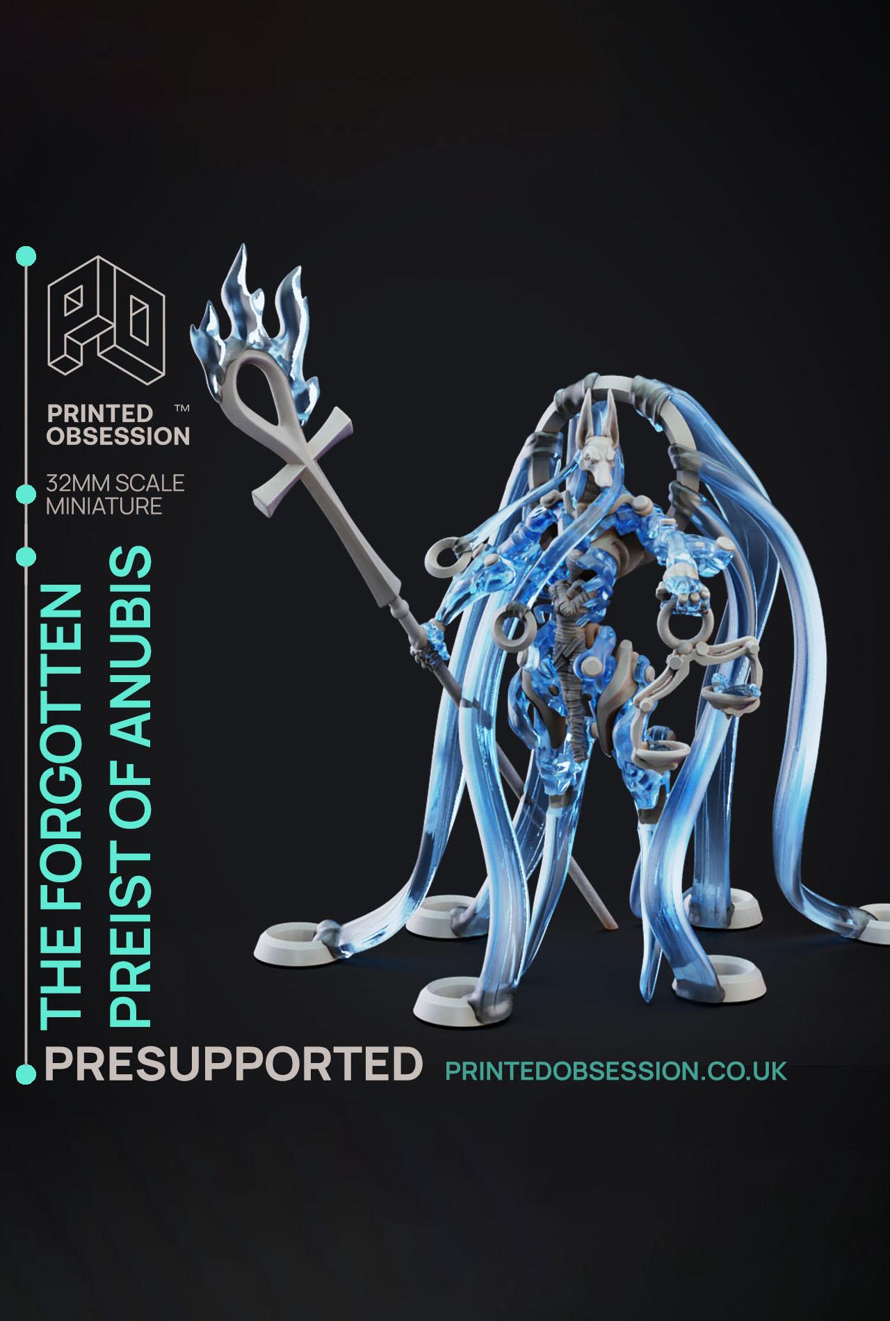 The Forgotten Preist of Anubis - Deity Fight Club - PRESUPPORTED - Illustrated and Stats - 32mm scal 3d model