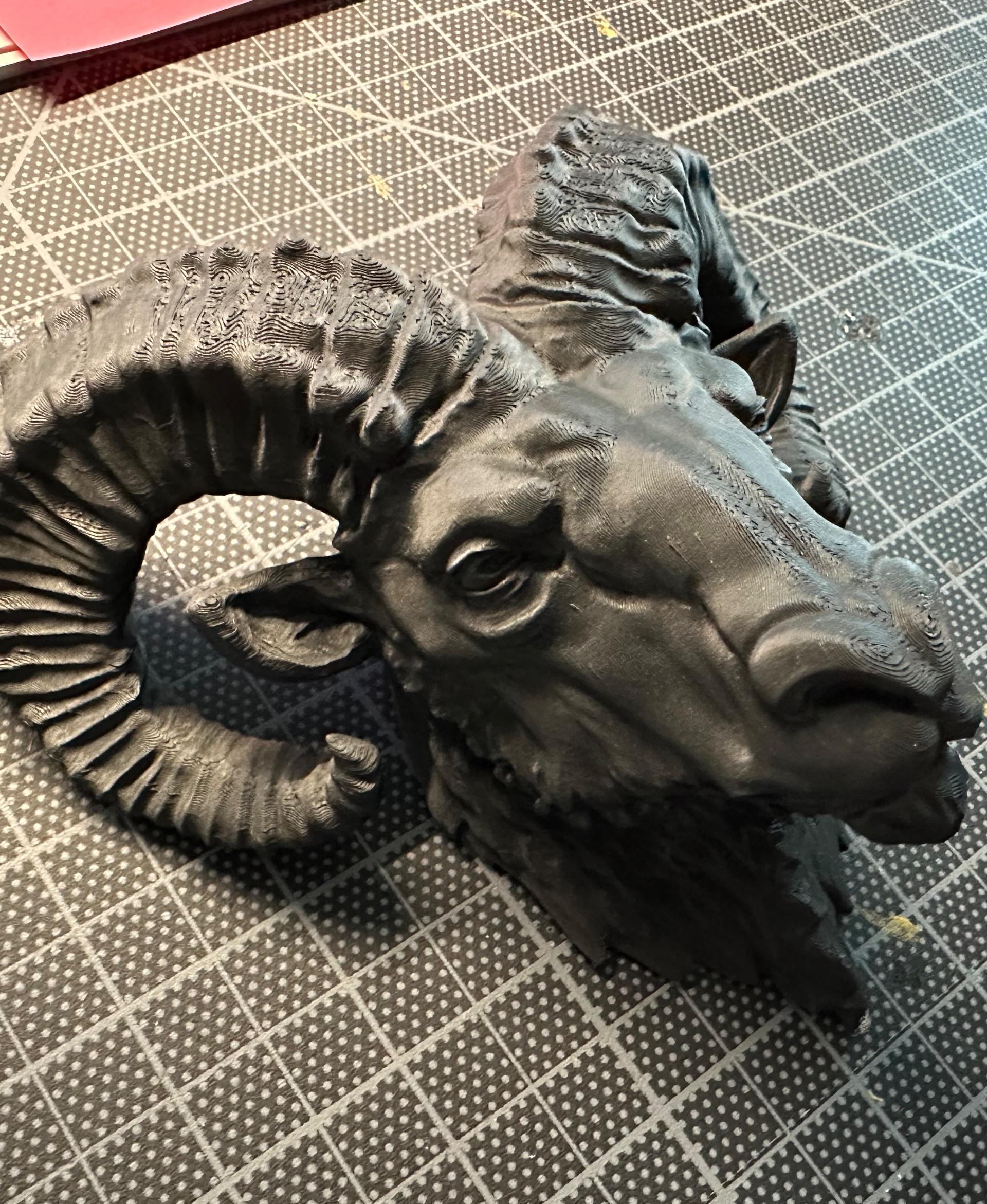 Ram  - Printed with automatic slim tree supports as a precaution and added a wire wall hook to the back for mounting. It's an amazing piece of art. - 3d model