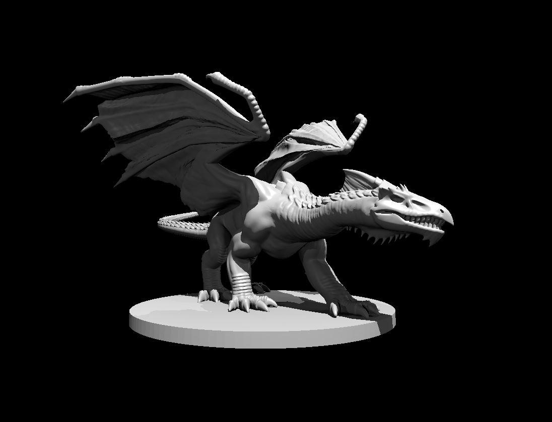 White Dragon Young - White Dragon Young - 3d model render - D&D - 3d model