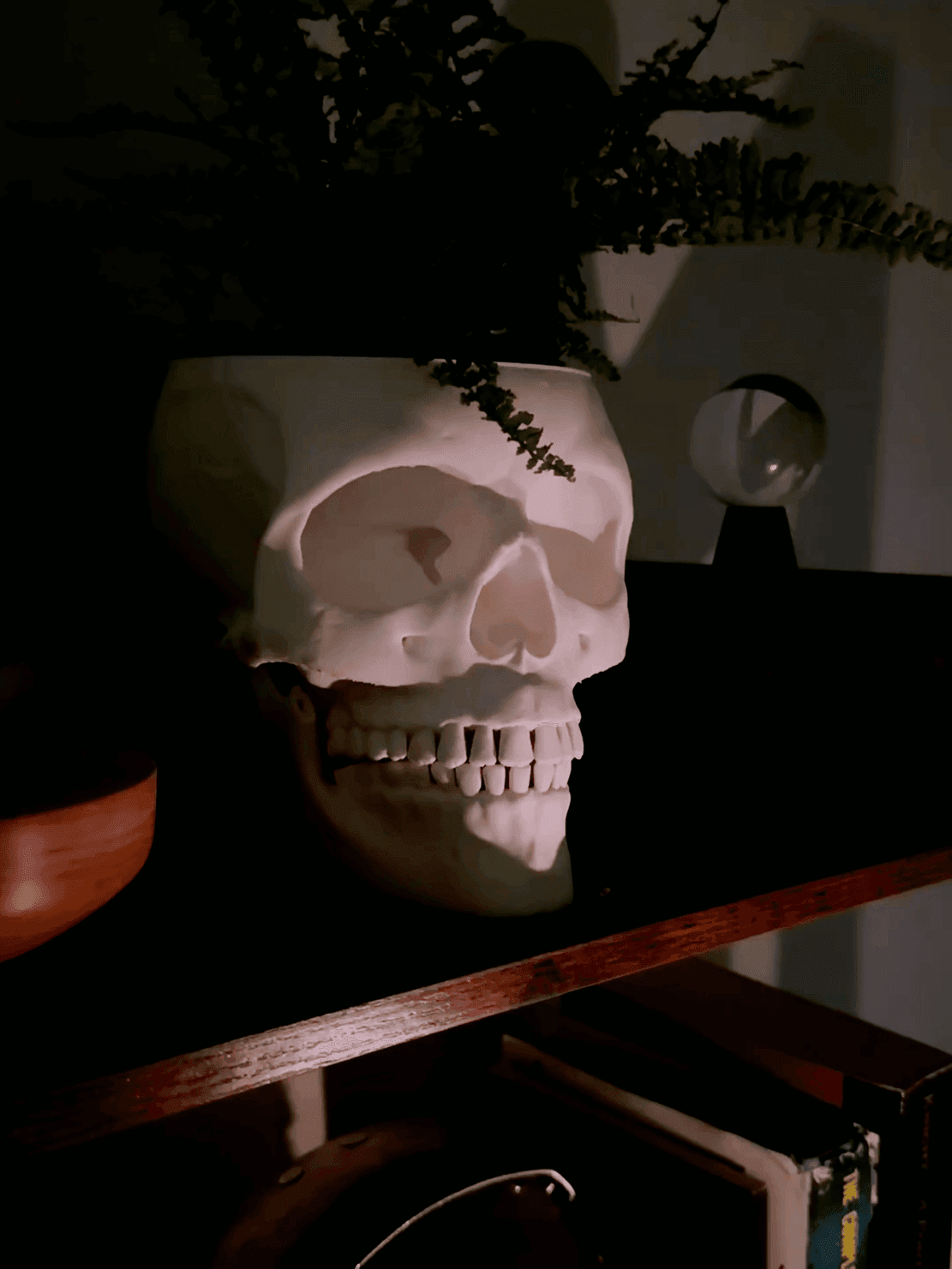 Skull Planter with Jaw drip container stand 3d model