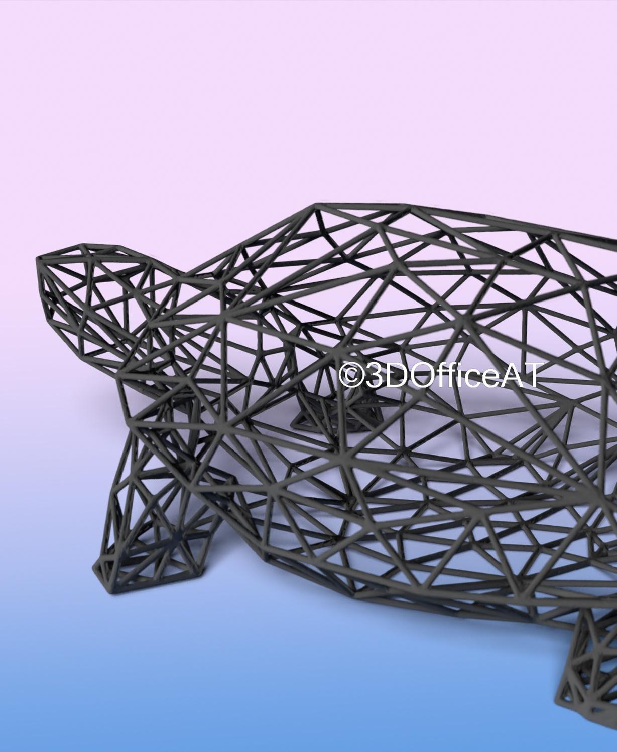 Turtle Wire Art 3d model