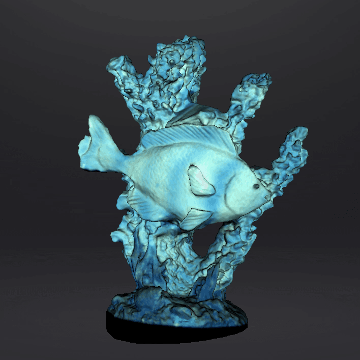 Coral and fish 3d model