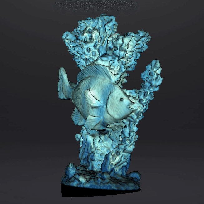 Coral and fish 3d model