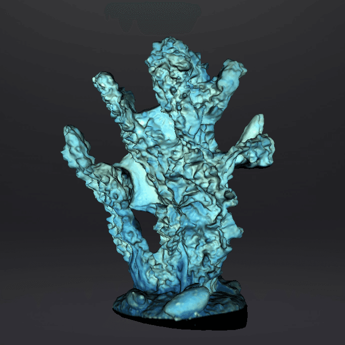 Coral and fish 3d model