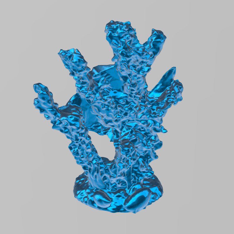 Coral and fish 3d model