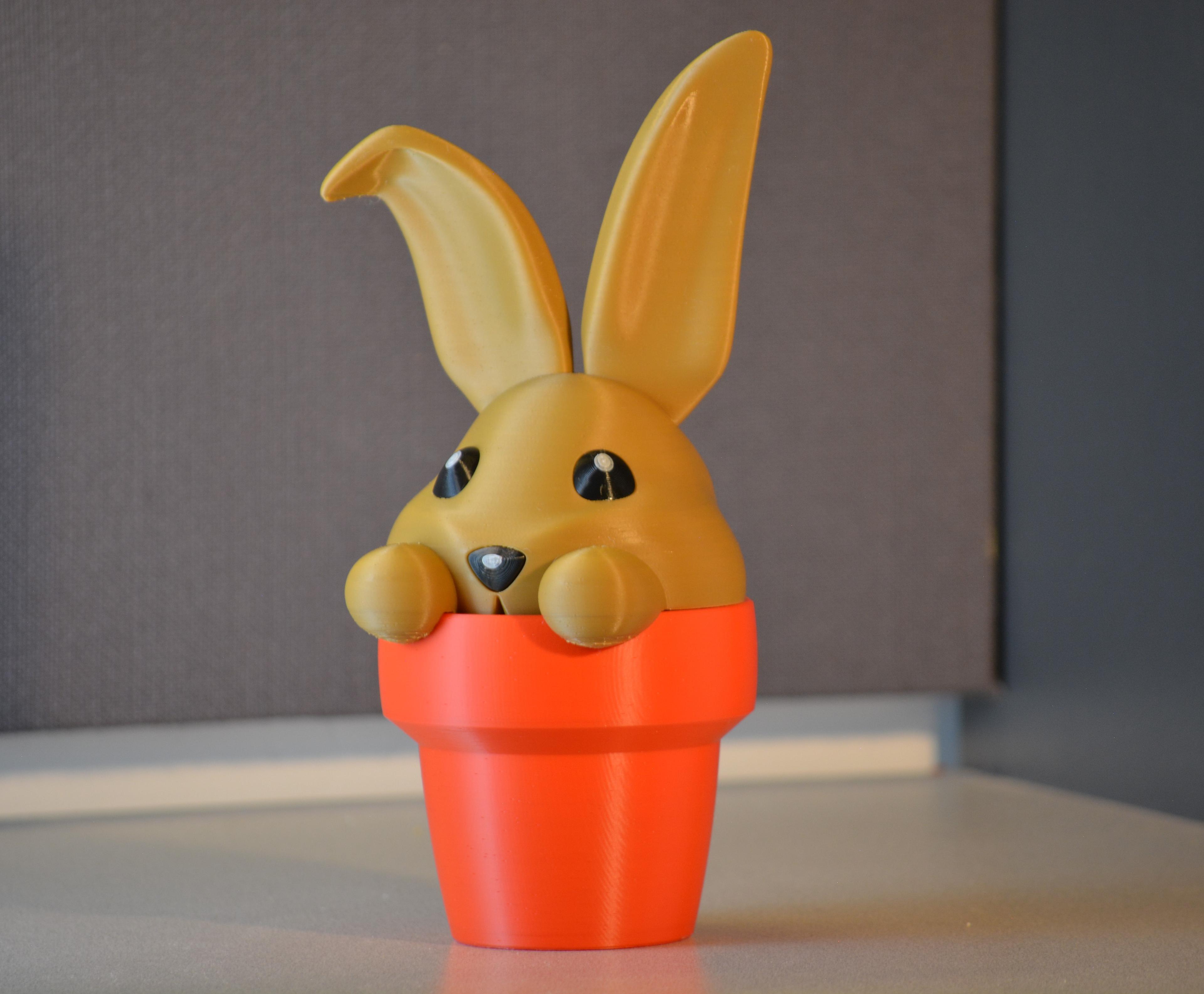 Bunny Pot - Single and Multi-material 3d model