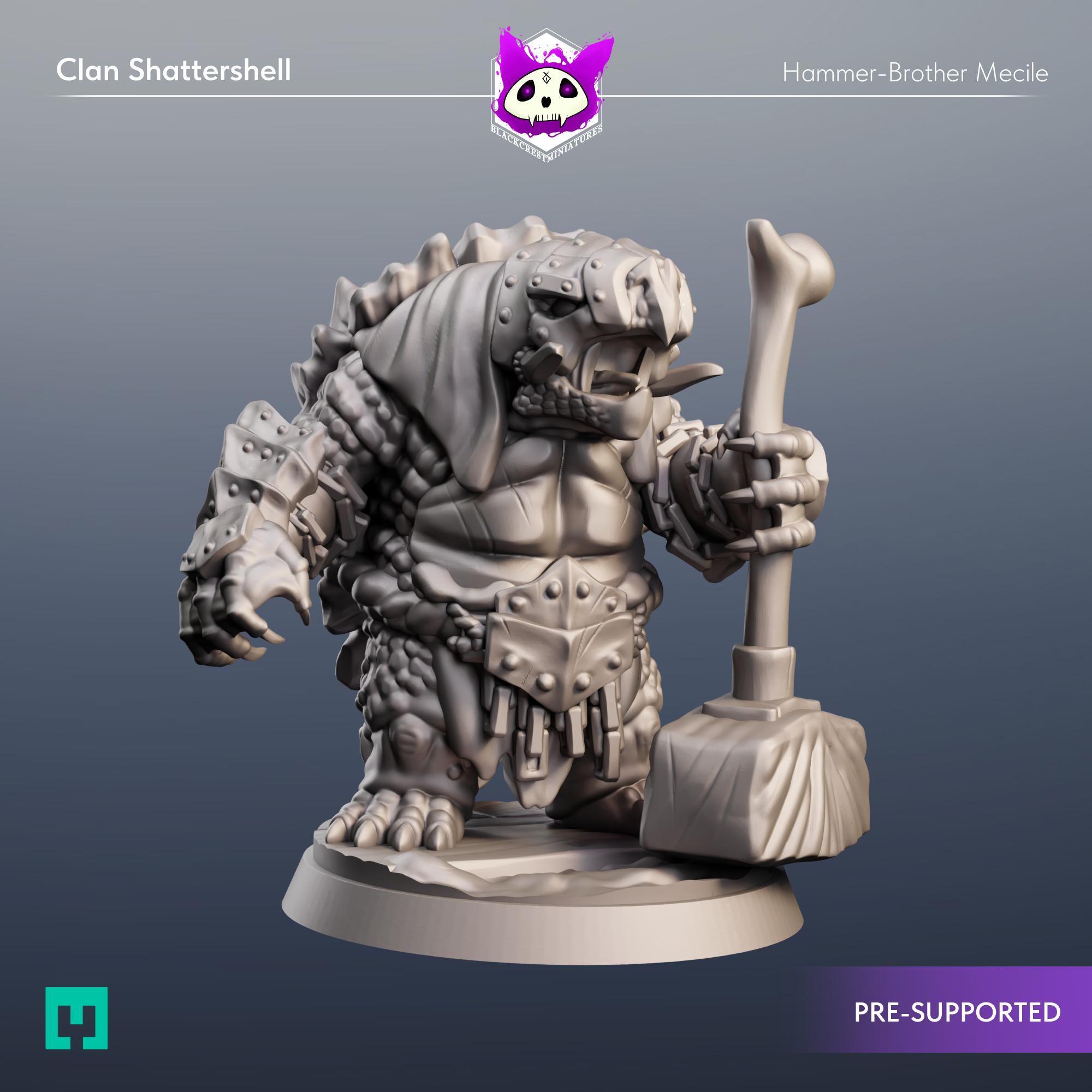 Clan Shattershell | Hammer-Brother Mecile 3d model