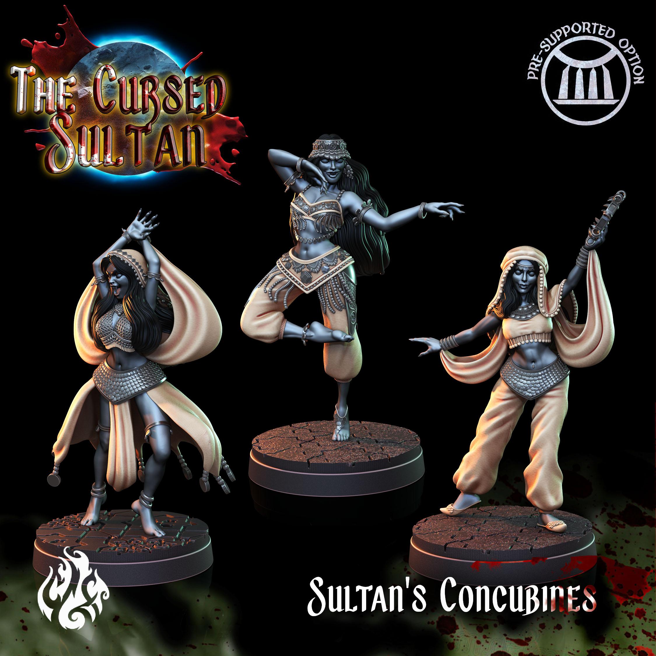 Sultan's Concubines 3d model