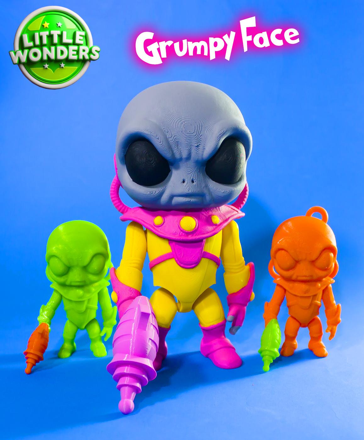 Grumpy Face Alien / print in place 3d model