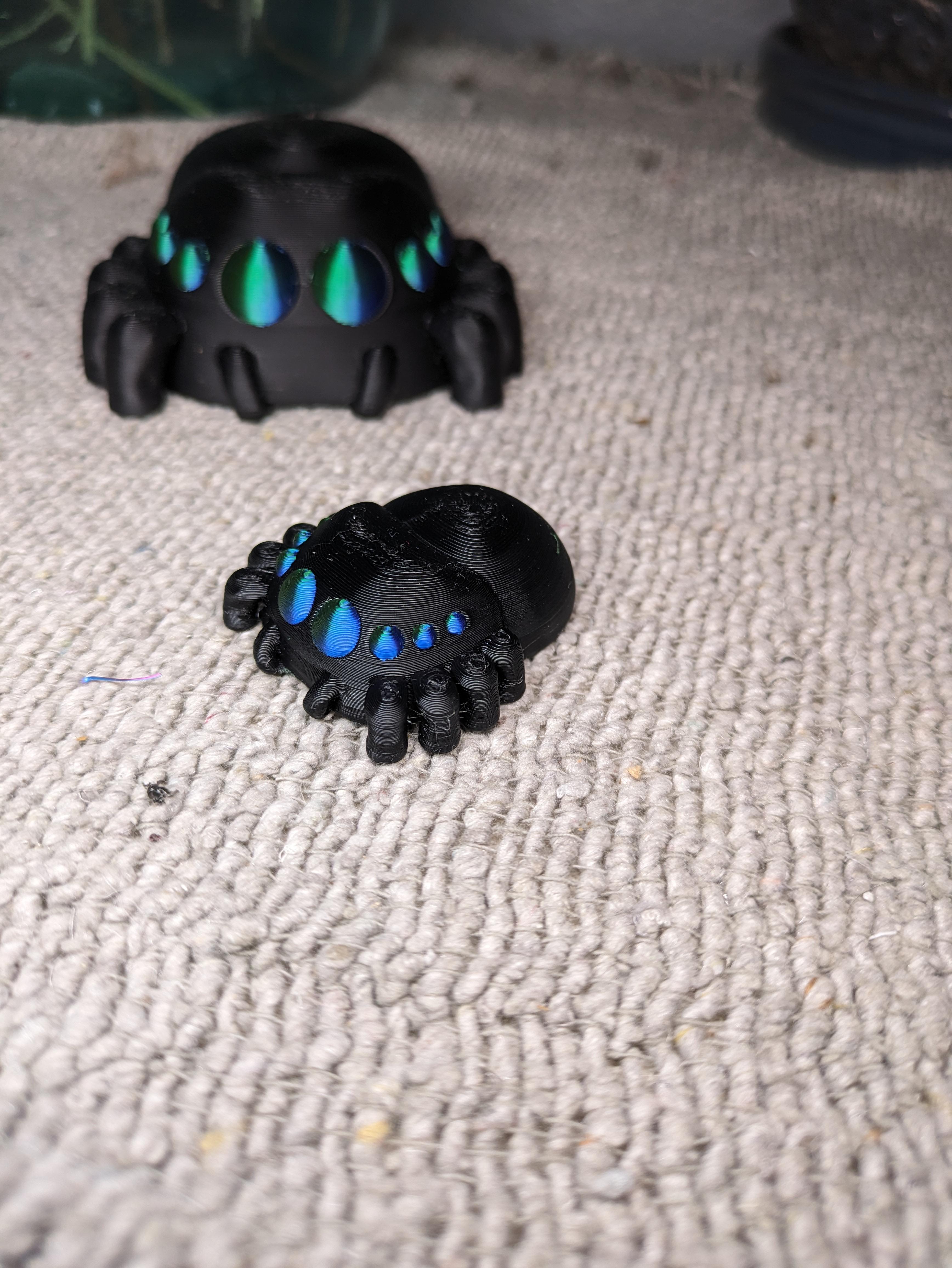 Small Jumping Spider 3d model