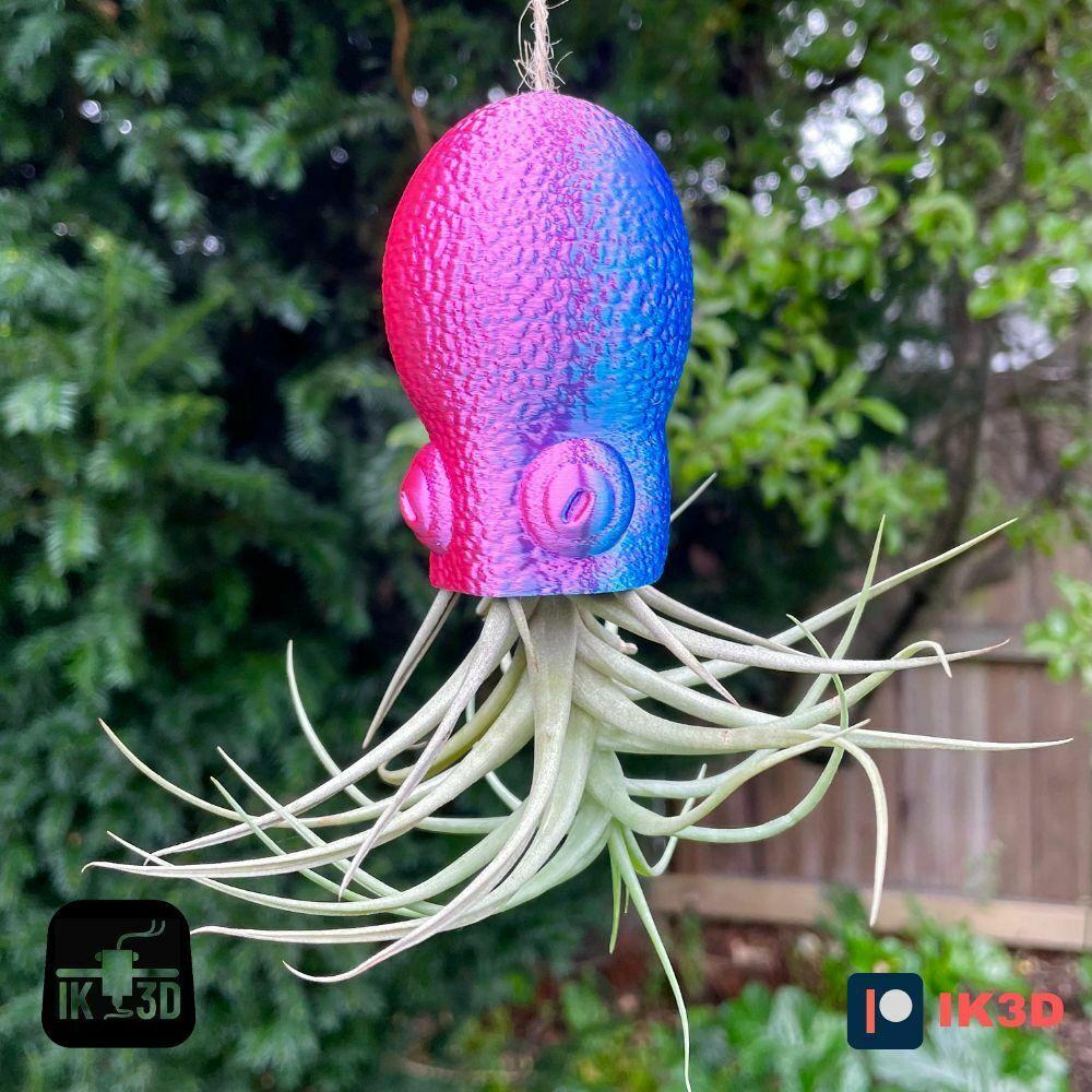 Hanging Octopus Air Plant Holder 3d model