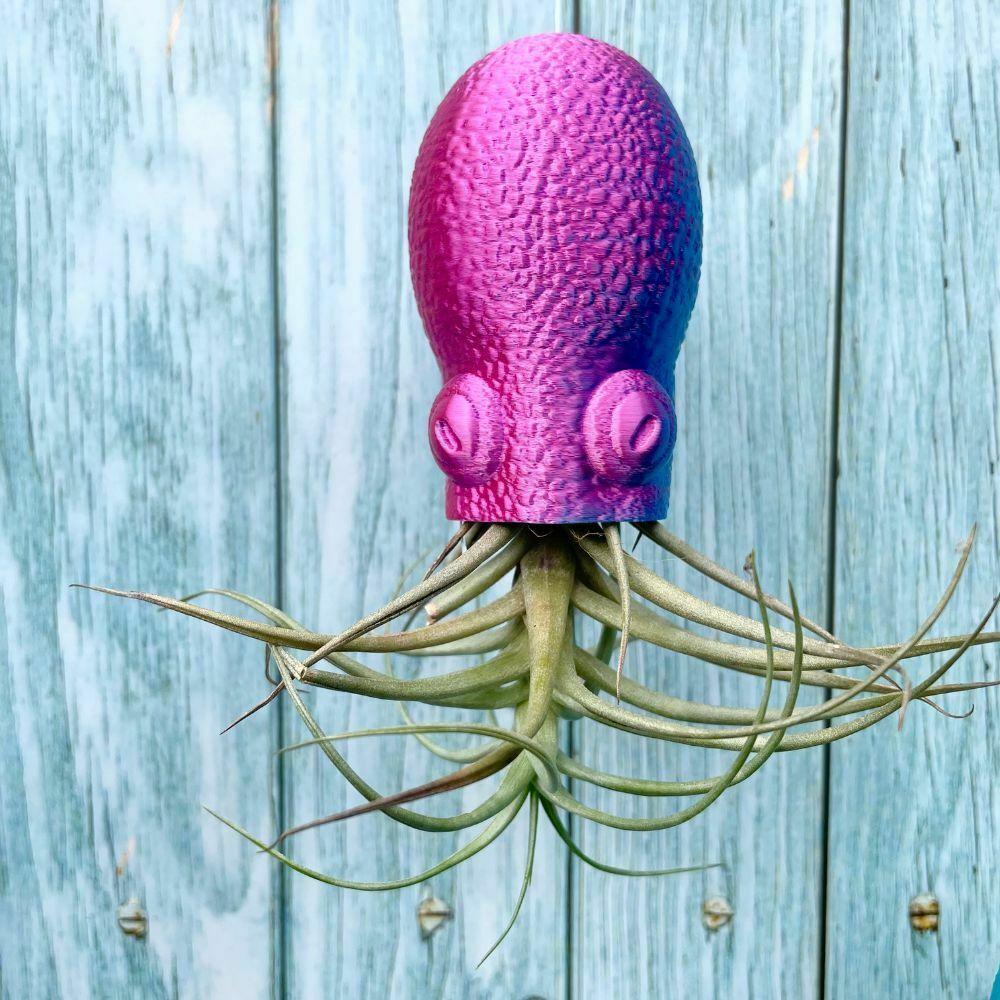 Hanging Octopus Air Plant Holder 3d model