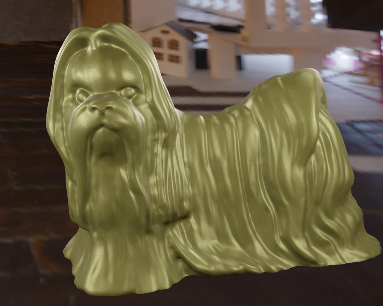 Shih Tzu 3d model