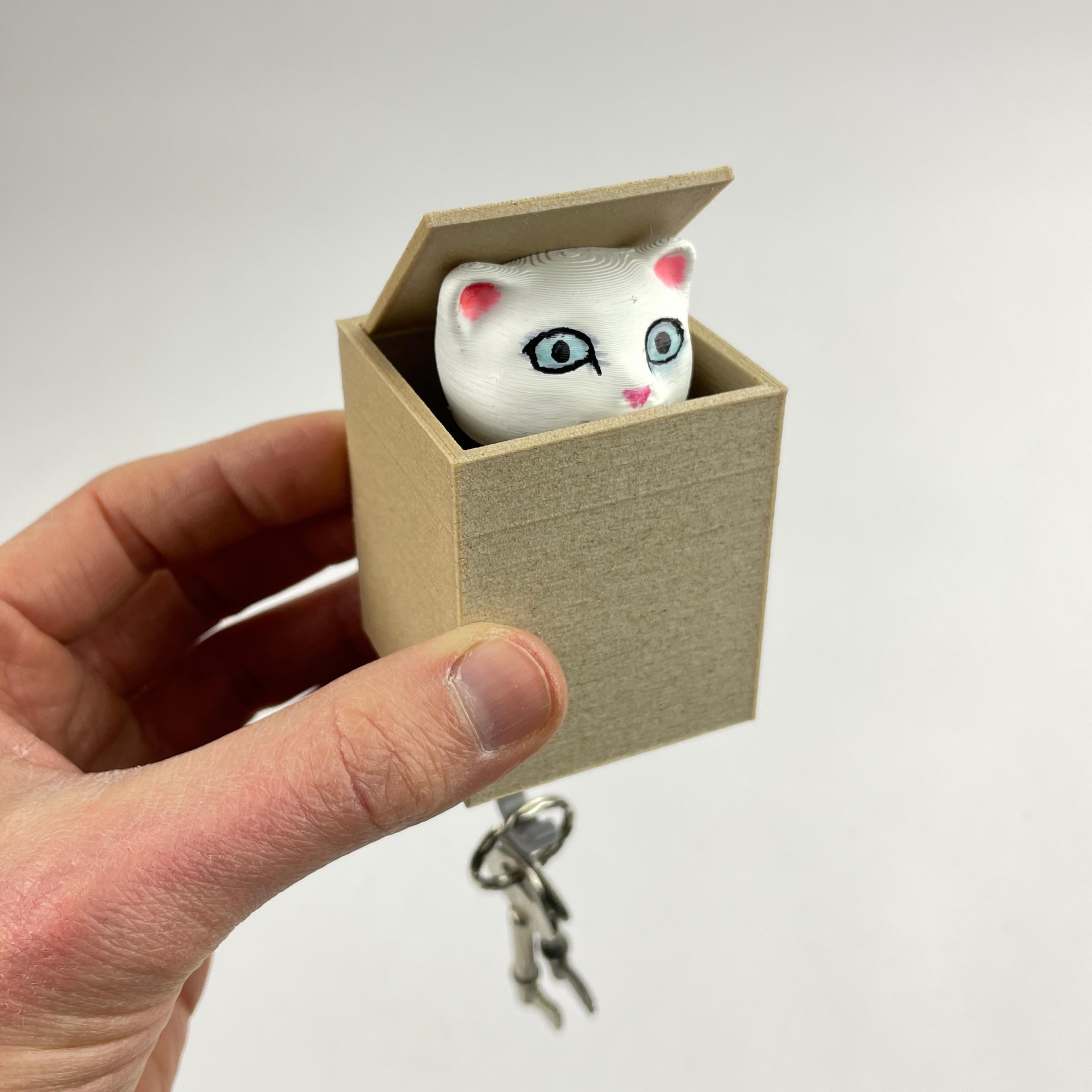 CAT IN BOX - WALL KEY HANGER 3d model