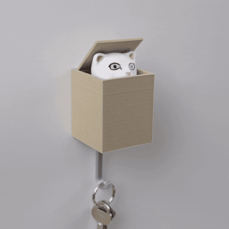 CAT IN BOX - WALL KEY HANGER 3d model