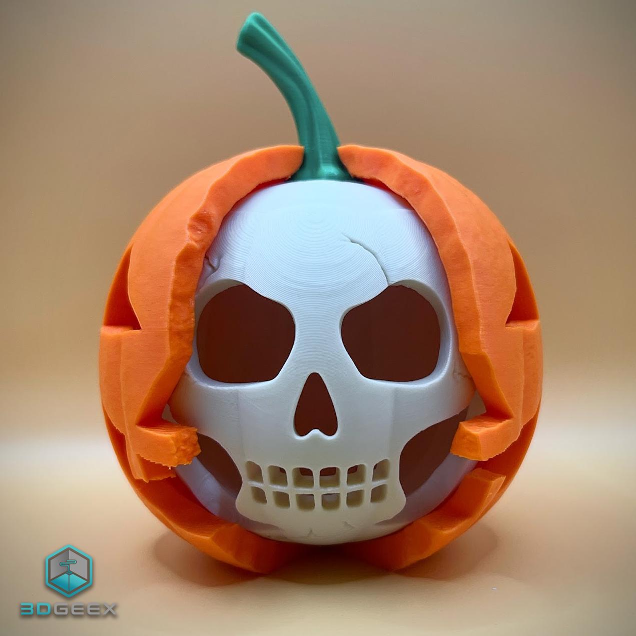 Jack's Skull 3d model