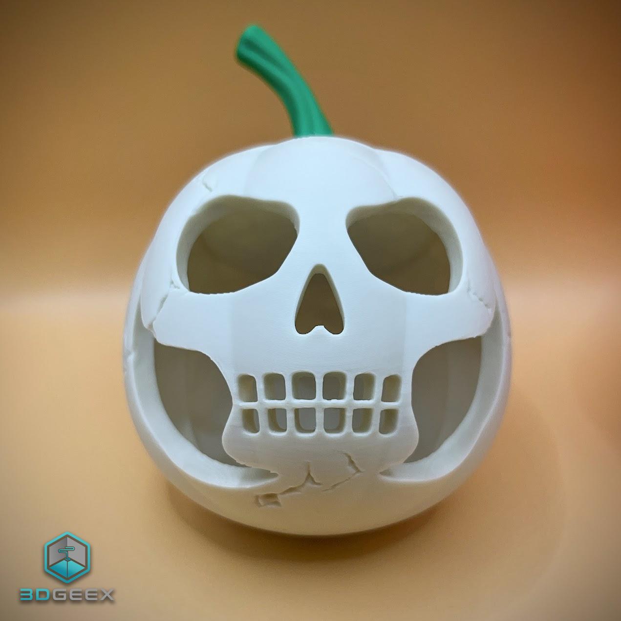 Jack's Skull 3d model