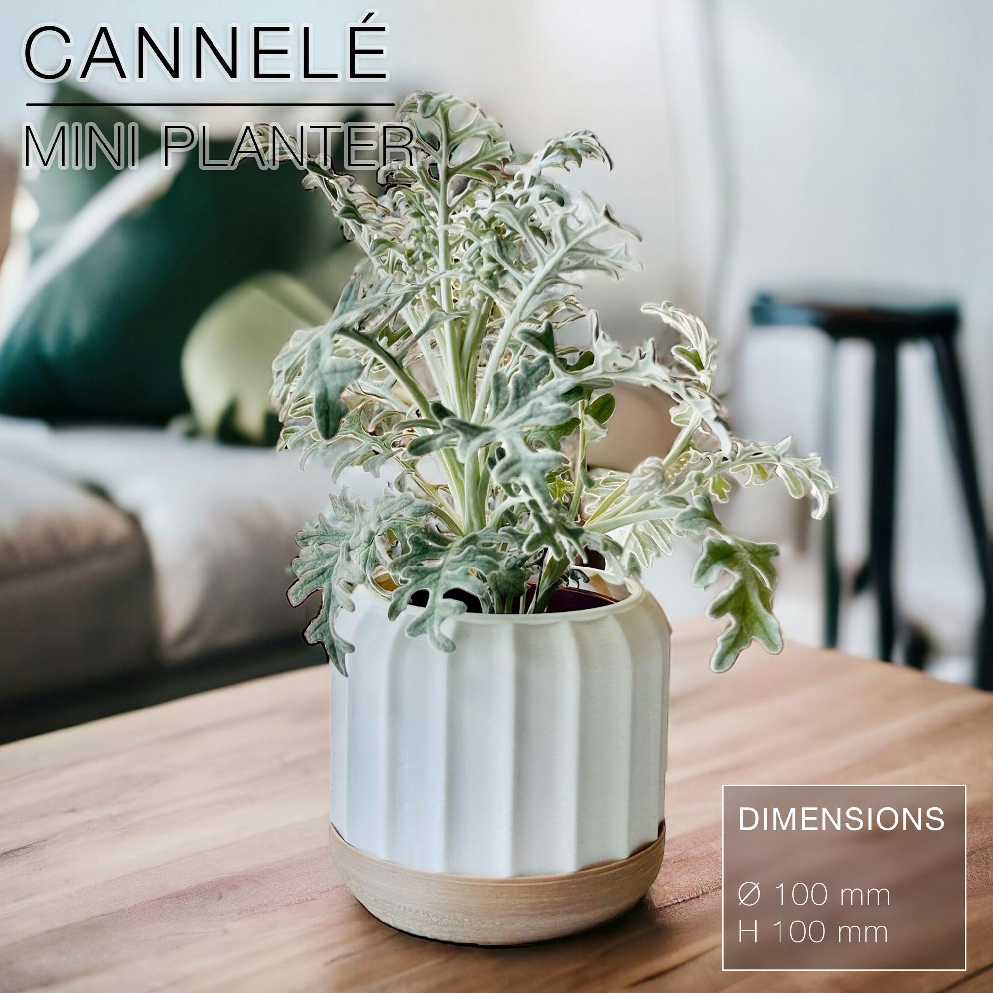 CANNELÉ | Fast-print mini Planter 3d model
