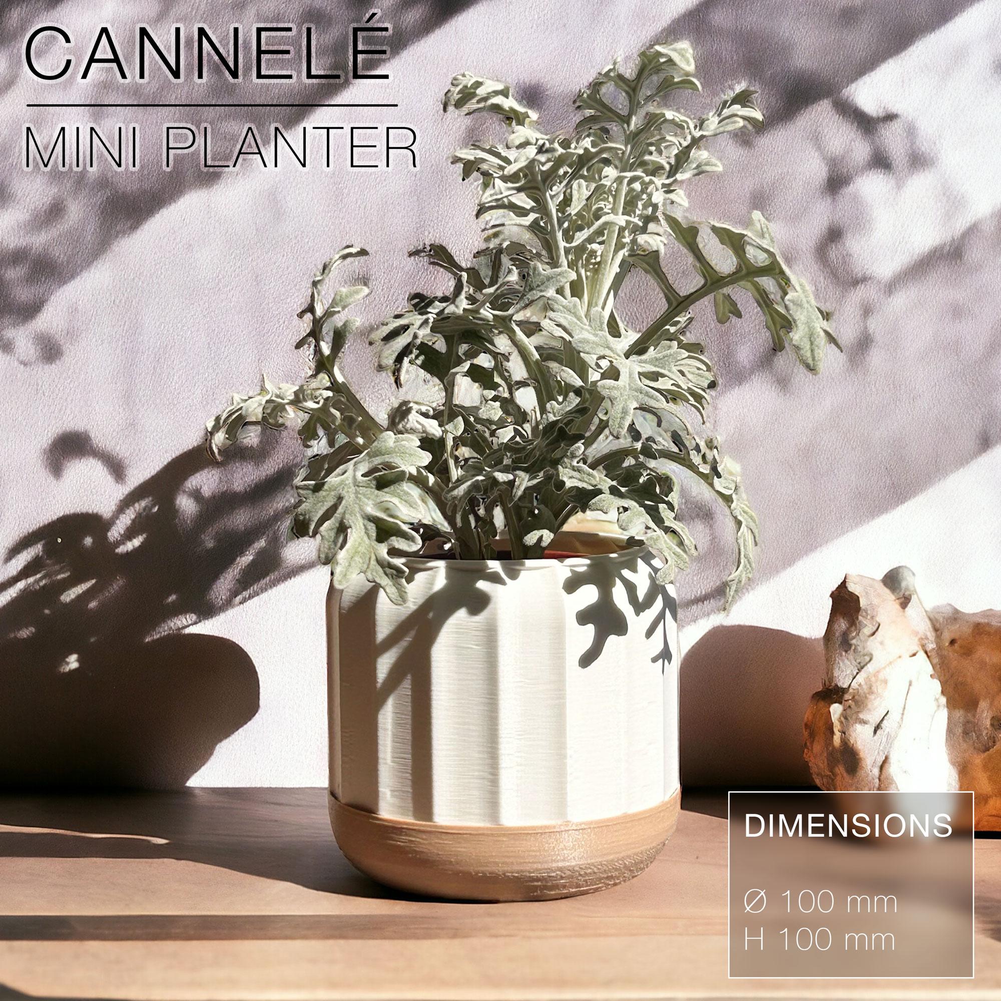 CANNELÉ | Fast-print mini Planter 3d model