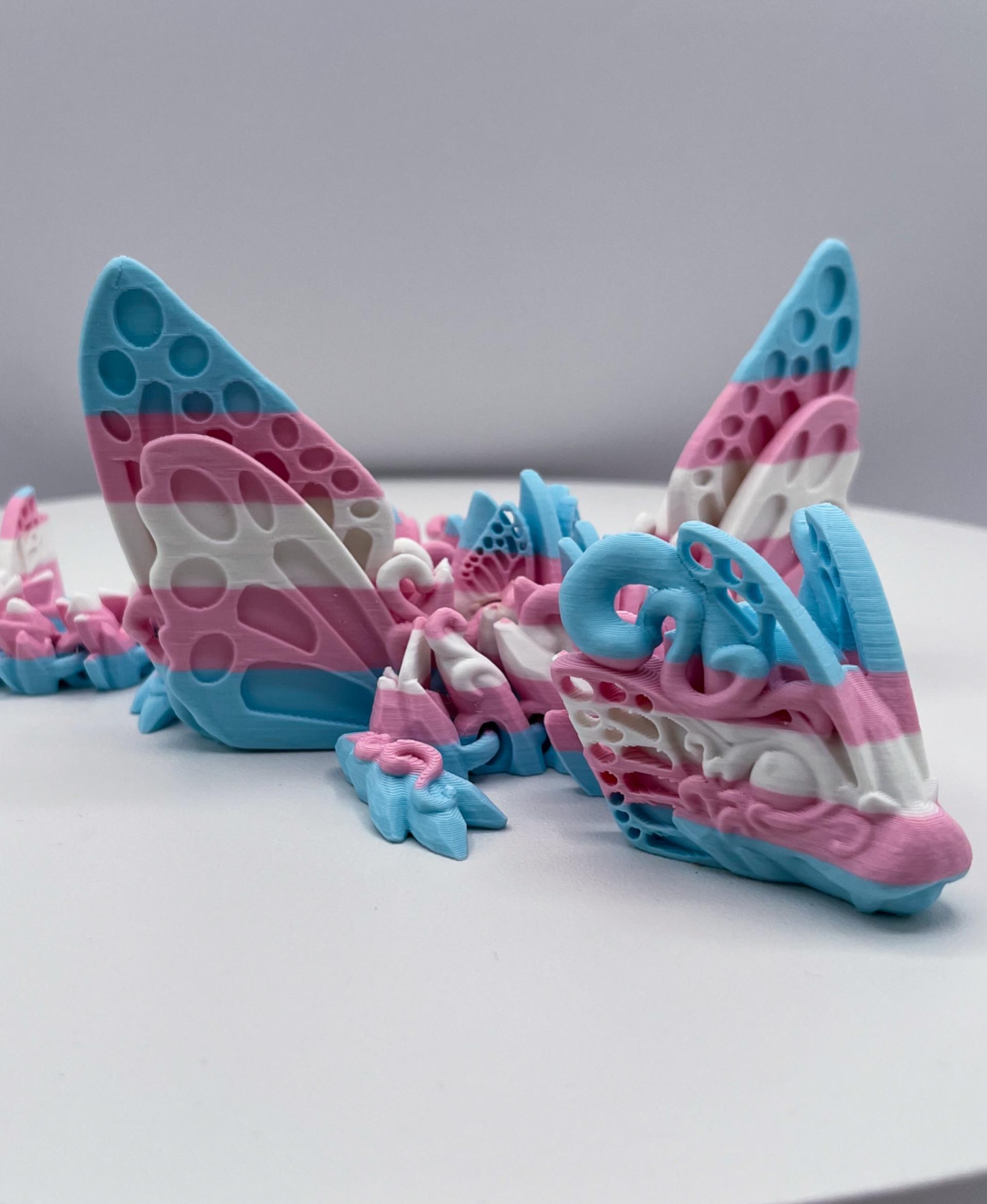 Baby Butterfly Dragon - Trans pride baby butterfly dragon 🏳️‍⚧️ - 3d model