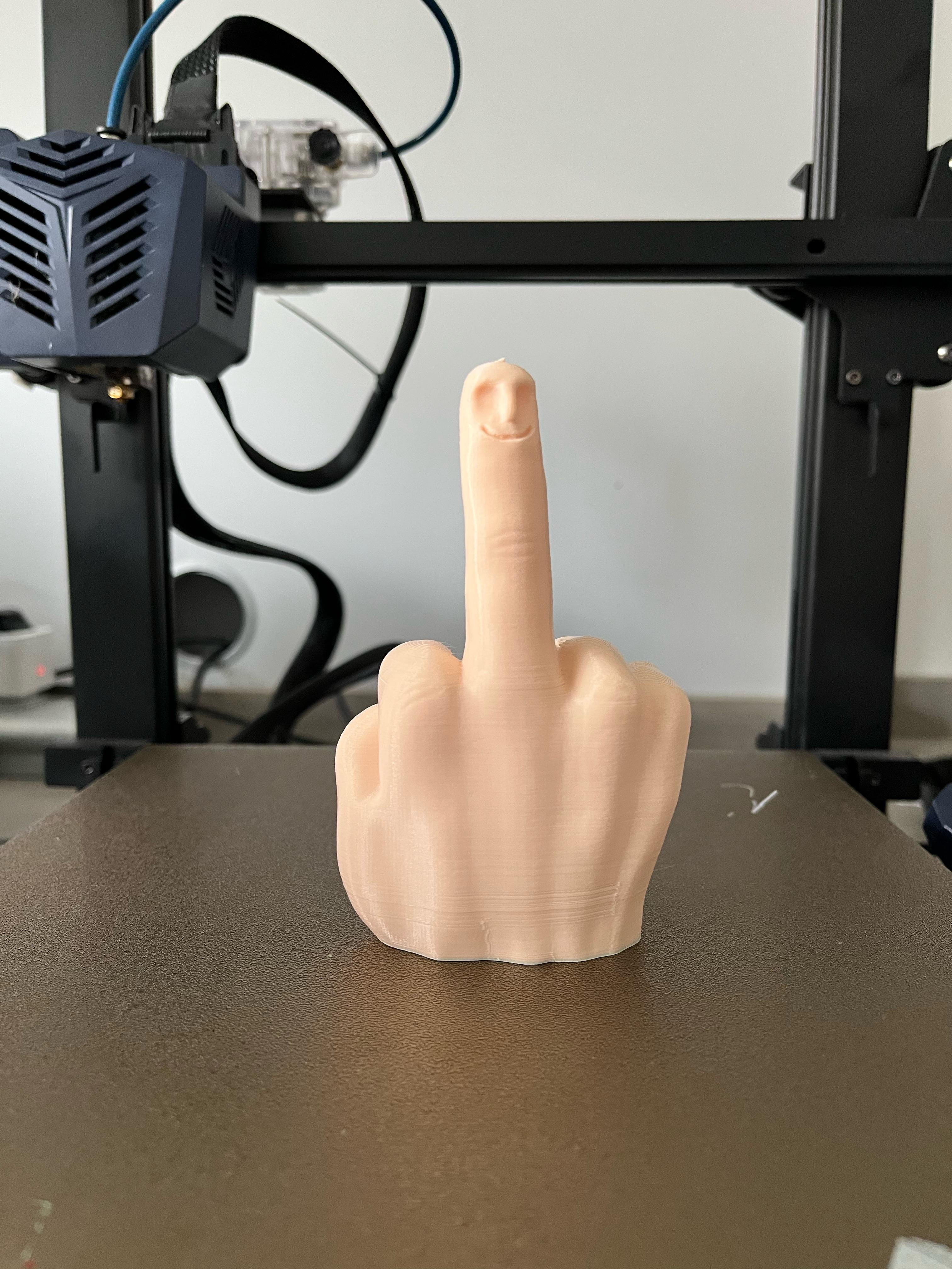 STL file MIDDLE FINGER FROG FIGURINE - NO SUPPORTS 🐸・3D print