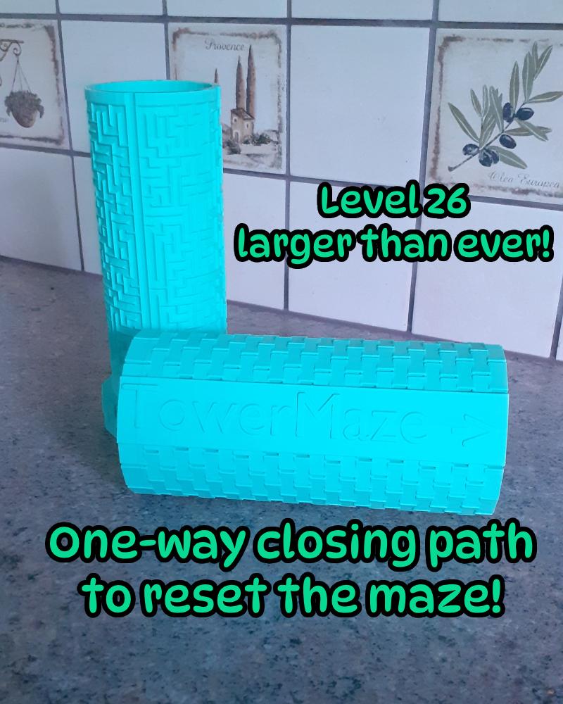 Supersize - TowerMaze level 26 3d model