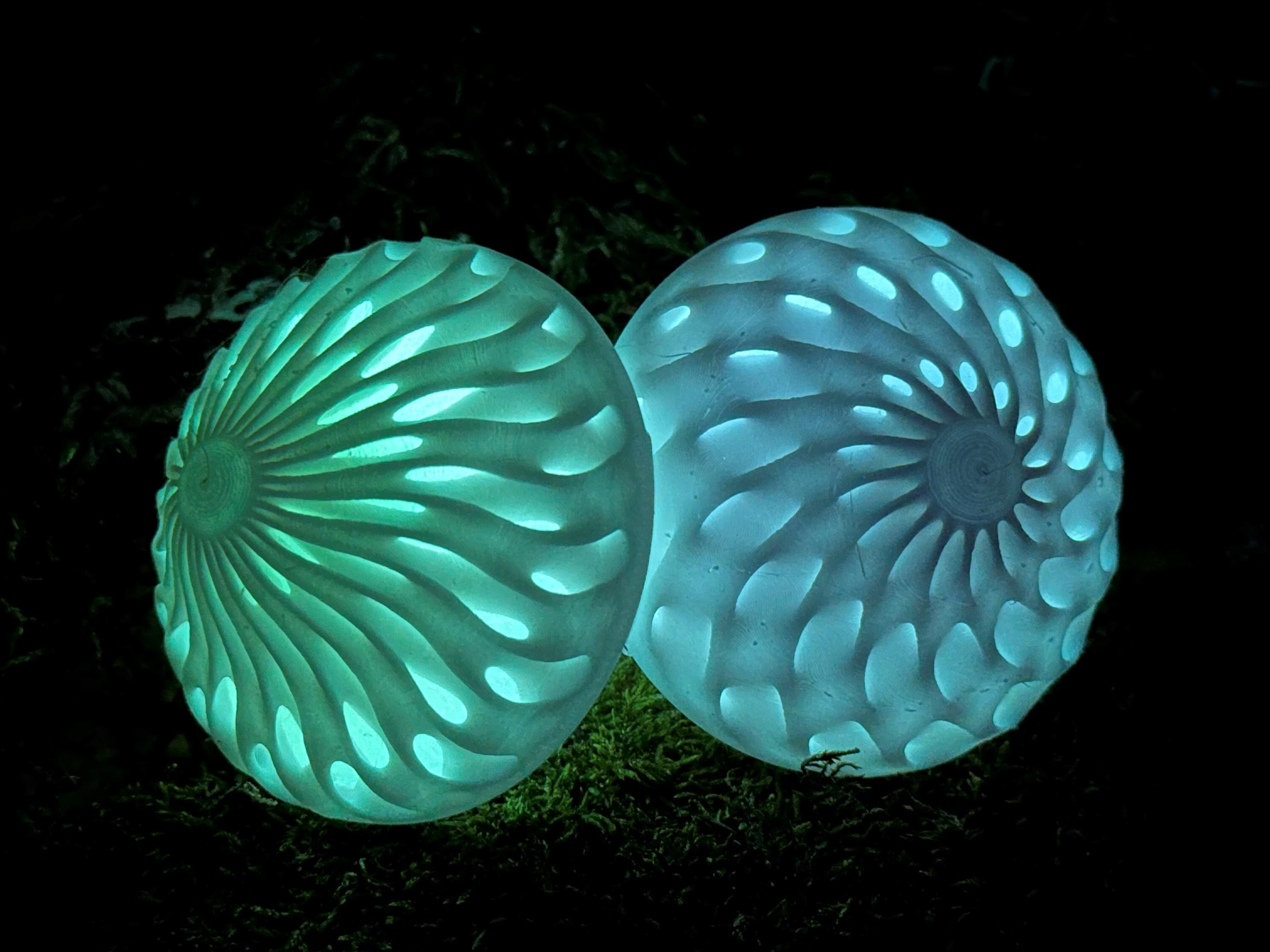 Dual Colour Modular Mushroom Caps (Glow 3d model