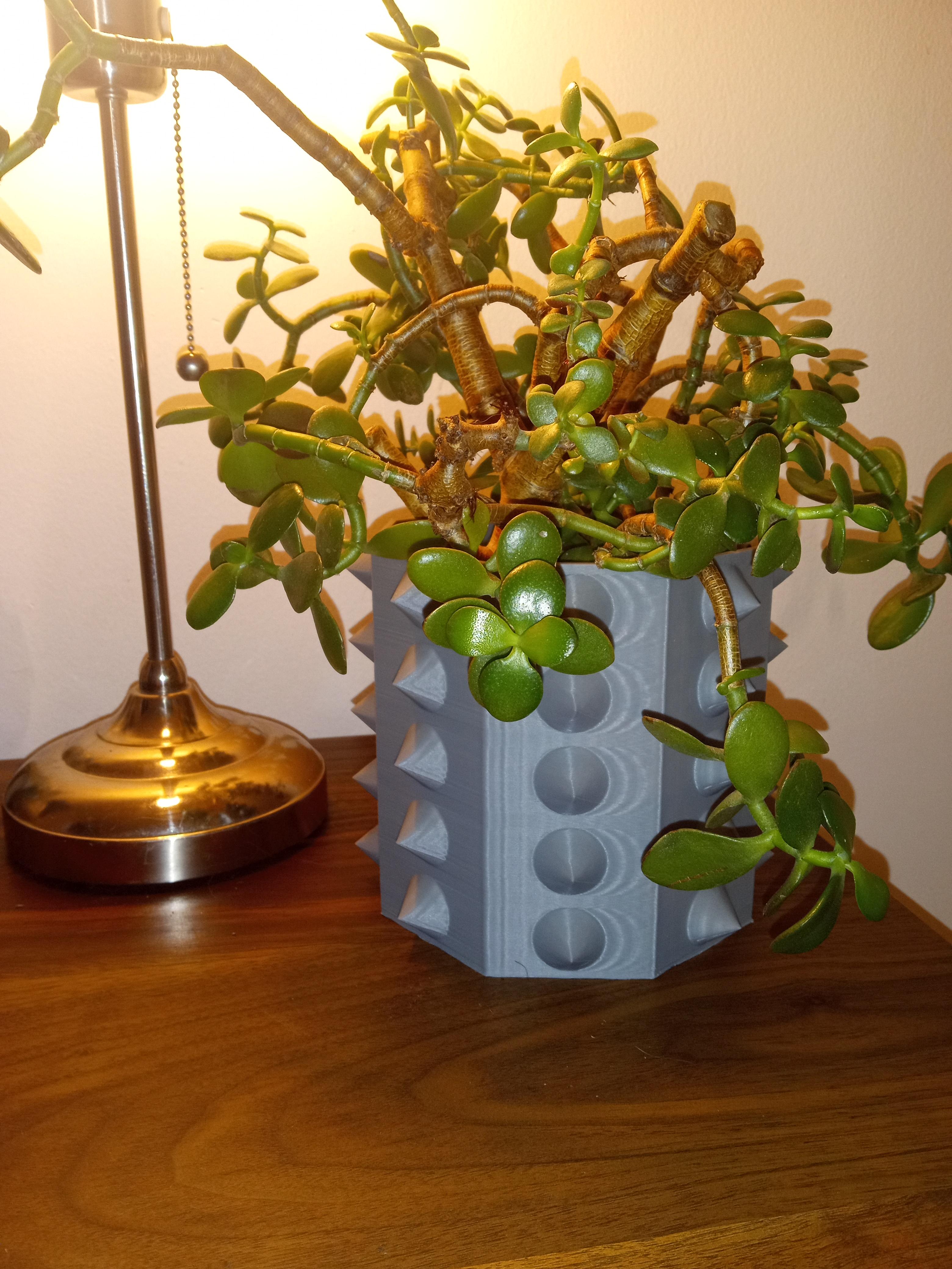 Spiky Planter 3d model
