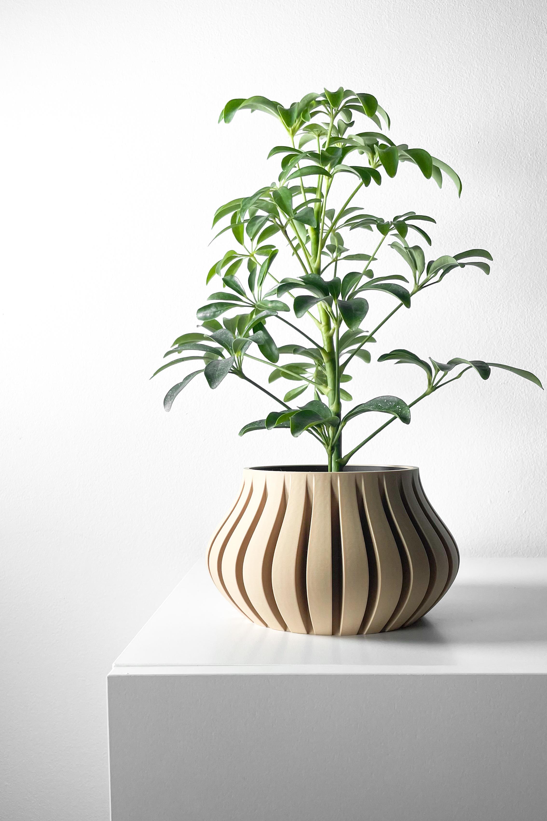 The Toril Planter Pot with Drainage Tray & Stand Included | Modern and Unique Home Decor 3d model