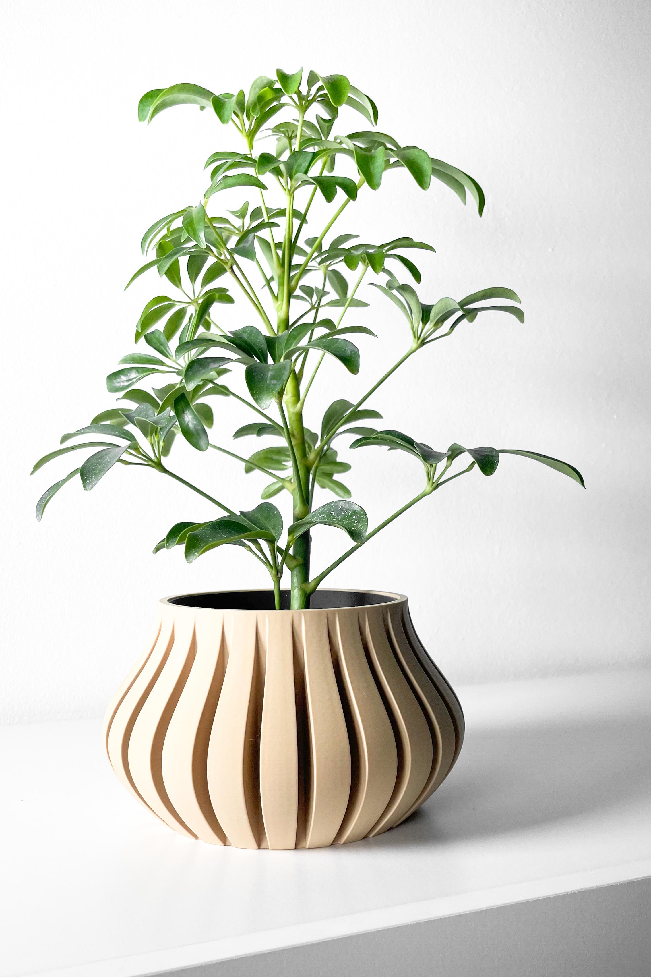 The Toril Planter Pot with Drainage Tray & Stand Included | Modern and Unique Home Decor 3d model