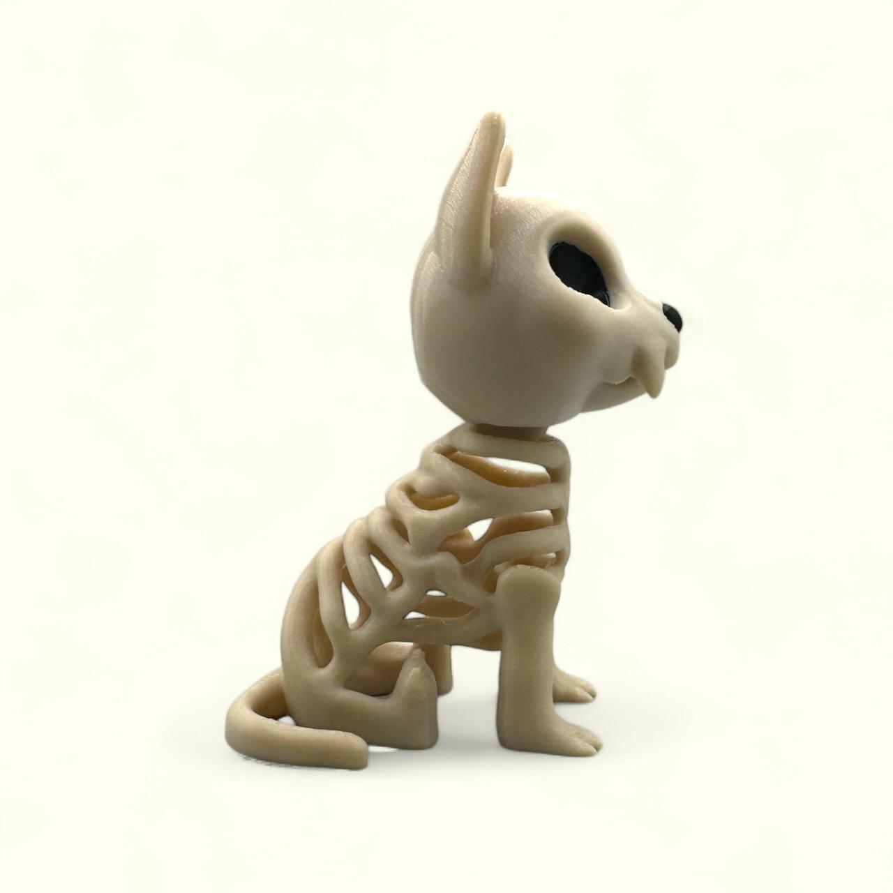 Spooky Skeleton Cat – Halloween Feline Decor 3d model