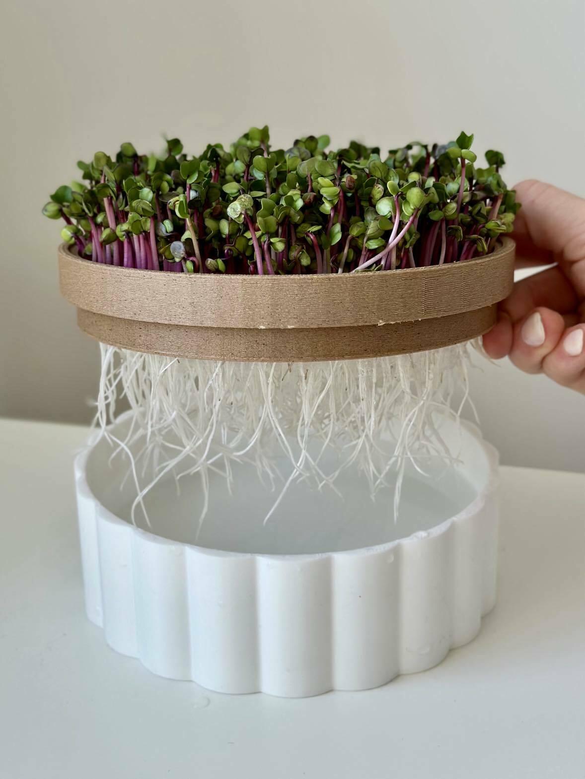 Microgreens hydroponic planter pot 3d model