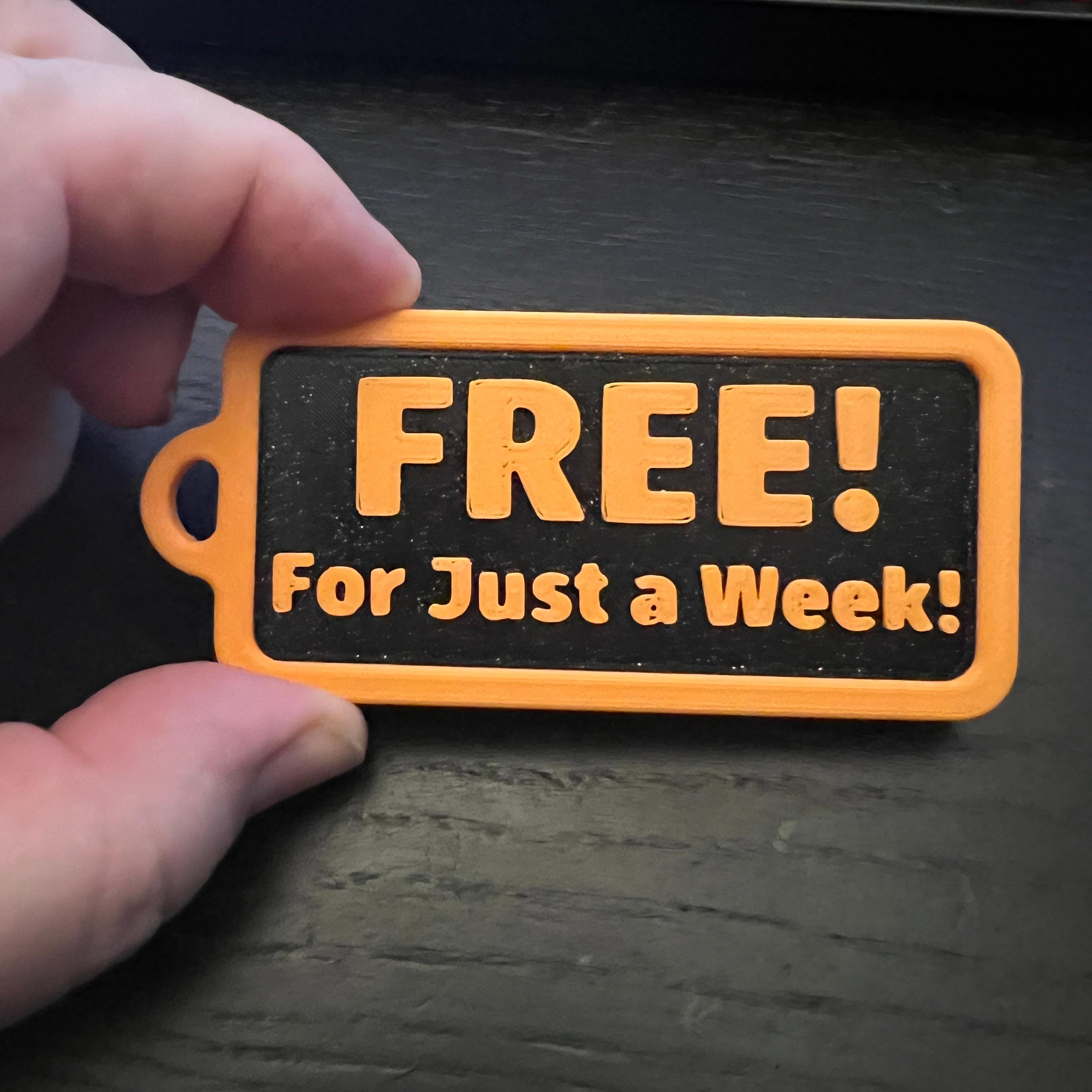 Free for just a week! Keytag 3d model