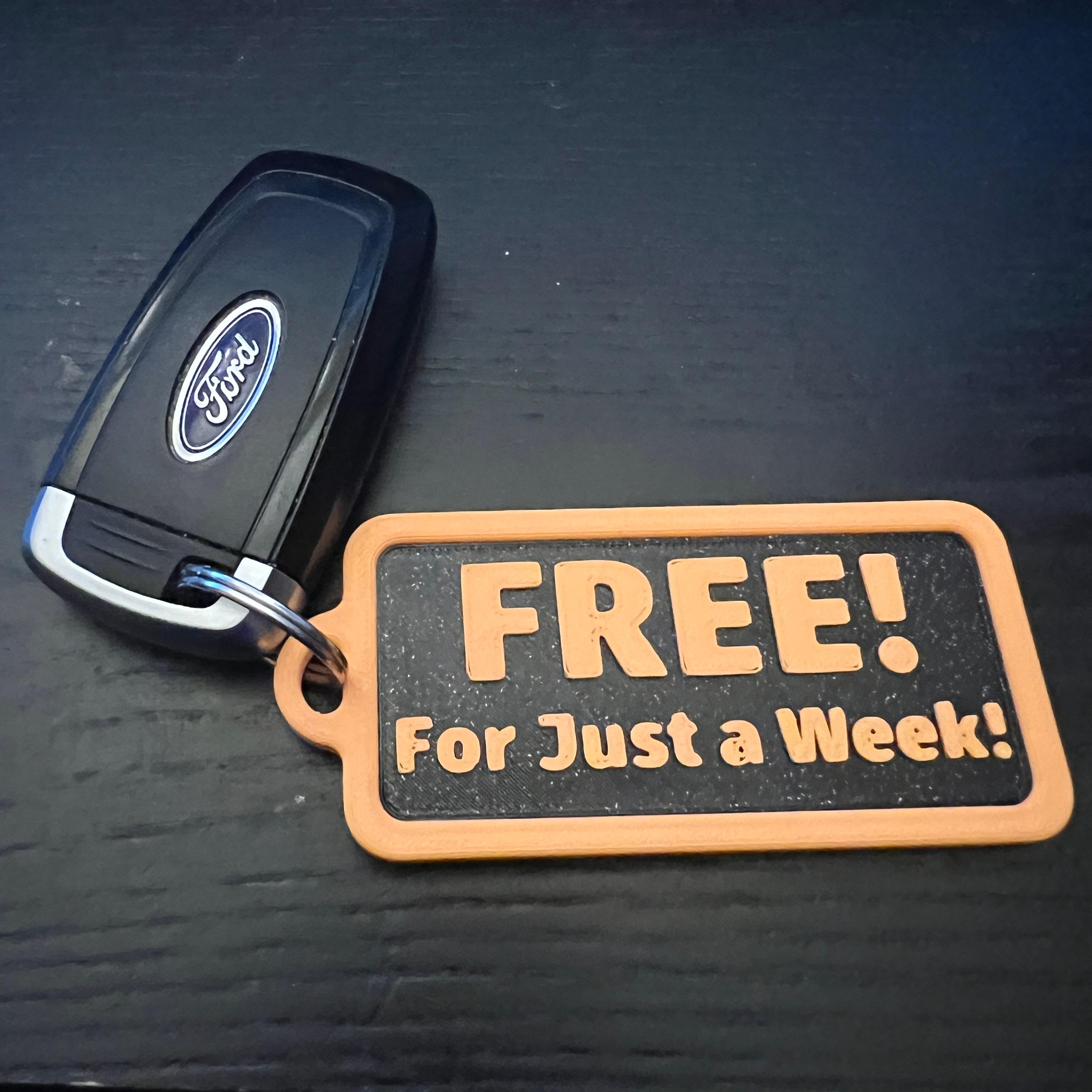 Free for just a week! Keytag 3d model