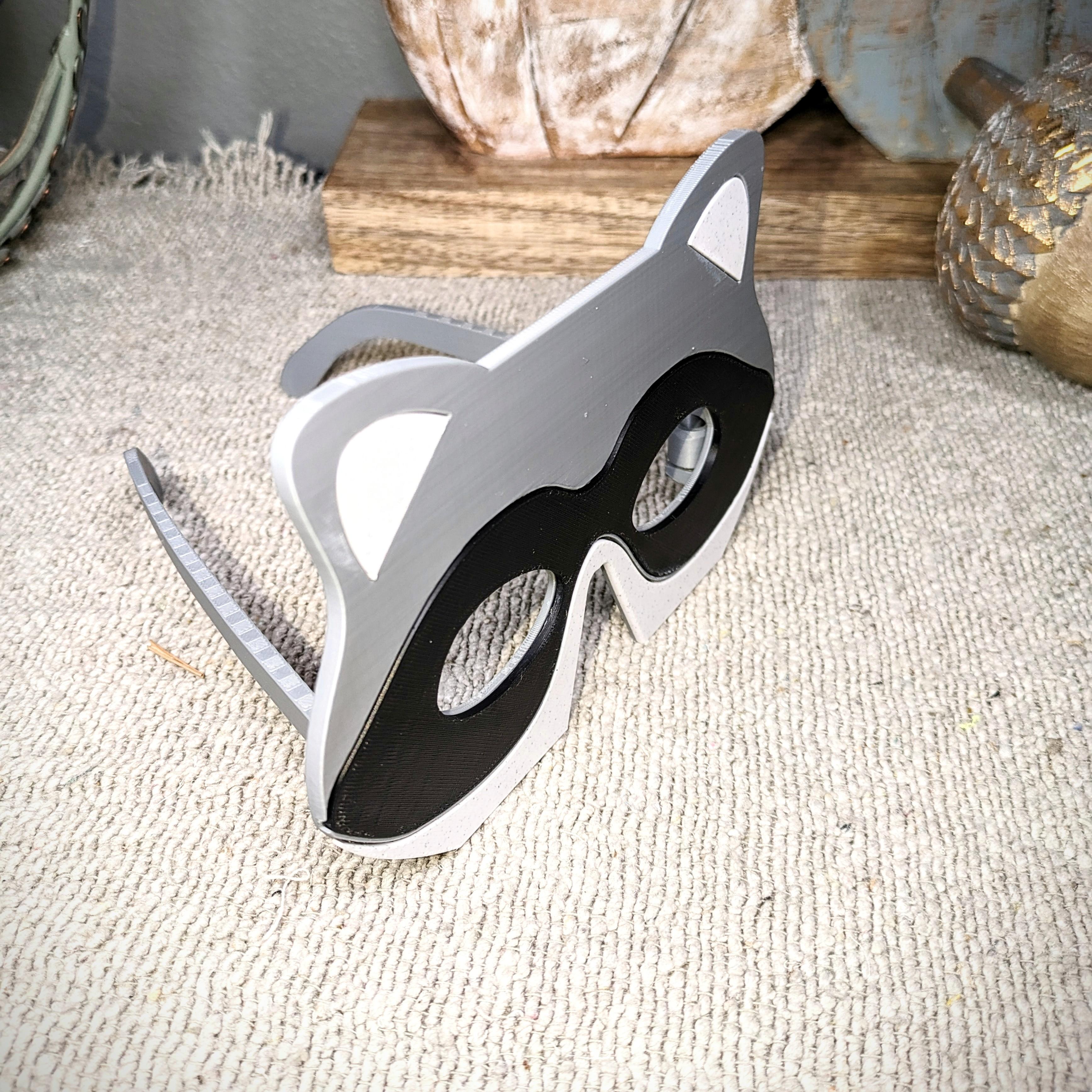 Raccoon Glasses/Mask 3d model