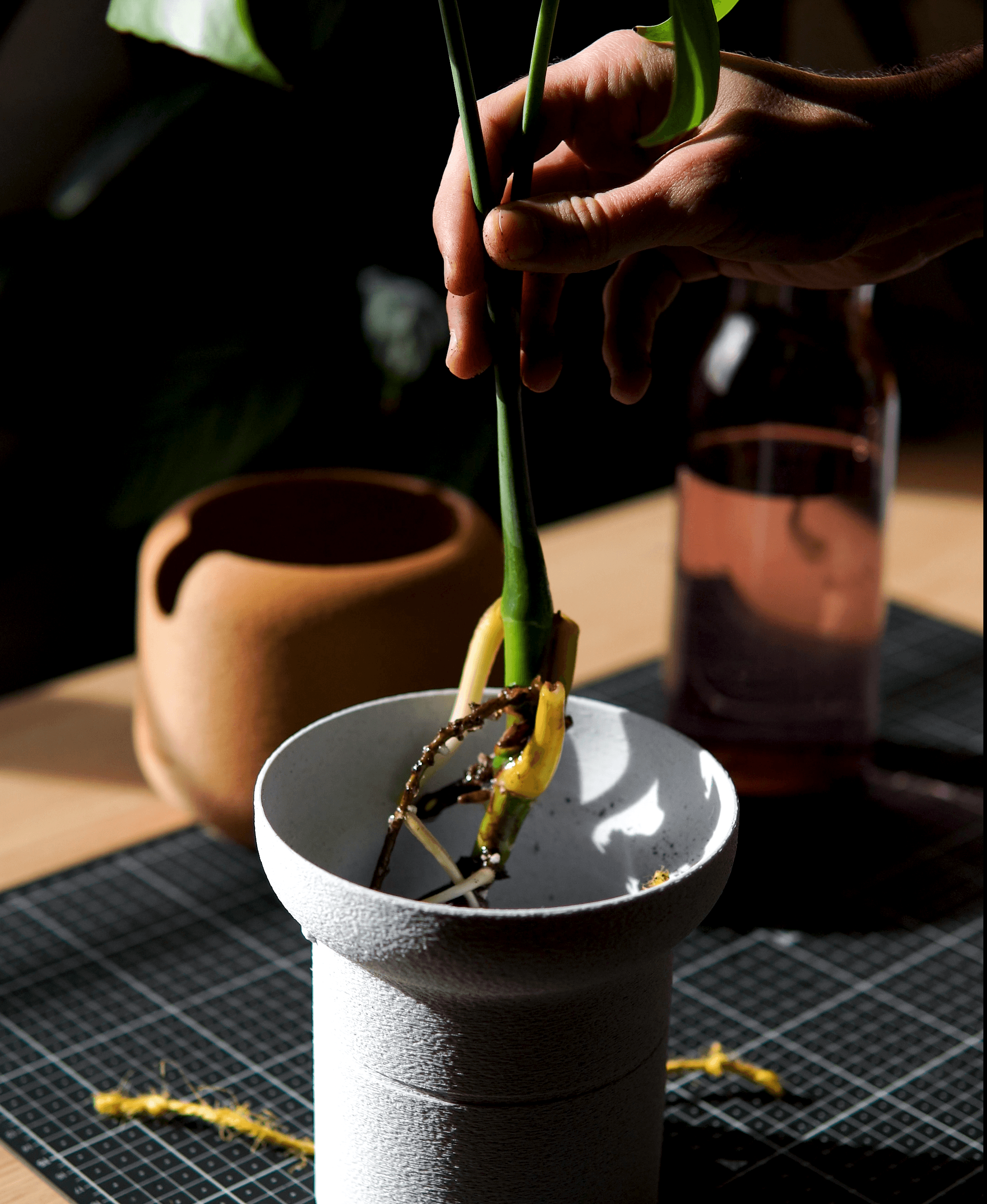 laulau · Self-watering pot (medium size) 3d model