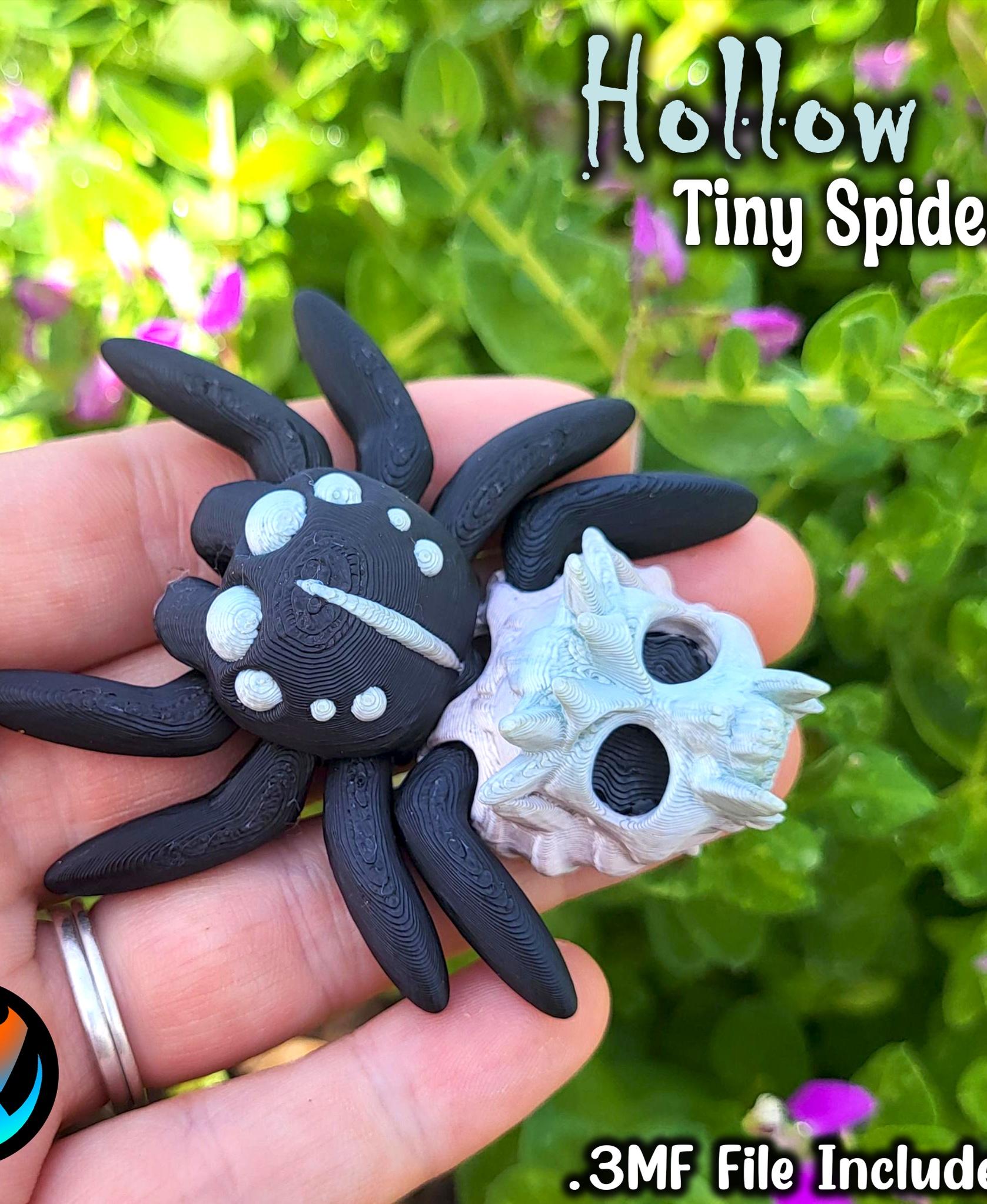 Tiny Hollow Spider 3d model