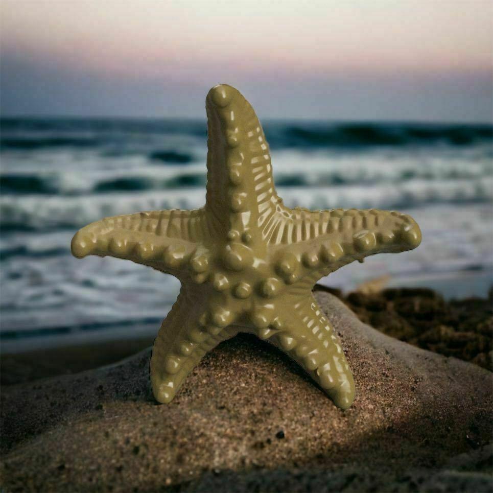 starfish 3d model