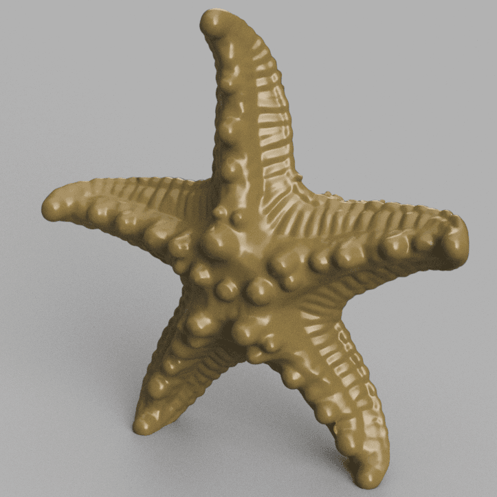 starfish 3d model